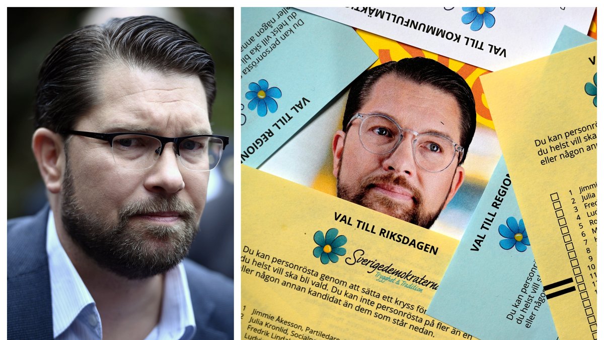 Jimmie Åkesson har varit Sverigedemokraternas partiledare i 17 år.